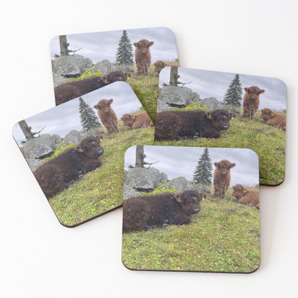Item preview, Scottish Highland Cattle Calves 4110 designed and sold by SaarelaHighland.