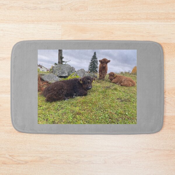 Item preview, Scottish Highland Cattle Calves 4110 designed and sold by SaarelaHighland.