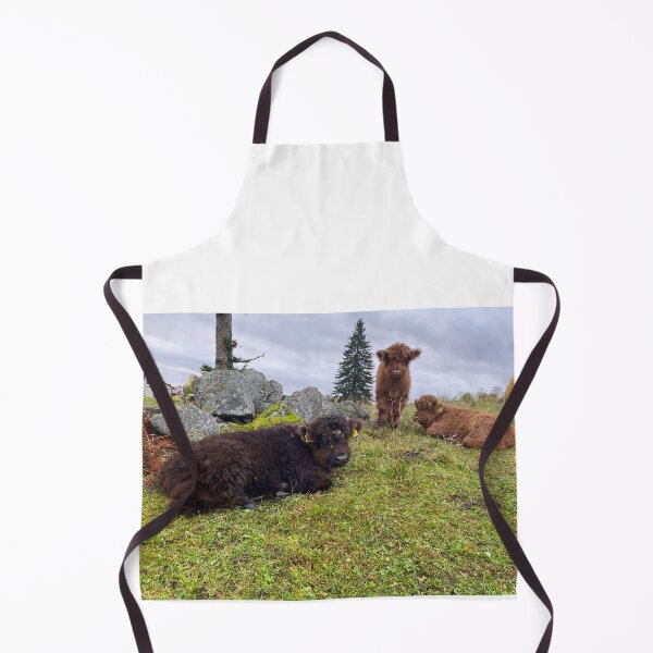 Aperçu de l'œuvre Scottish Highland Cattle Calves 4110 créée et vendue par SaarelaHighland.