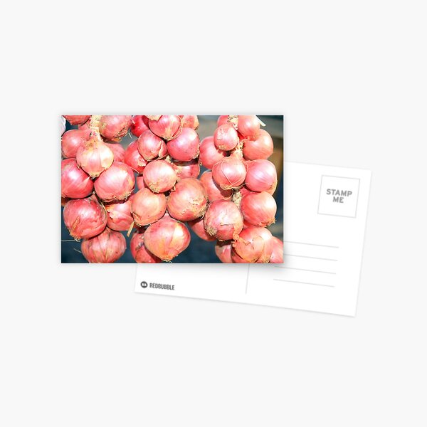 www.lizgarnett.com - St Cast Red Onions Postcard