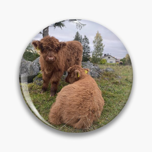 Artikelvorschau, Scottish Highland Cattle Calves 4112 entworfen und verkauft von SaarelaHighland.