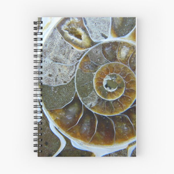 Item preview, Ammonite designed and sold by - Neuromind  -.