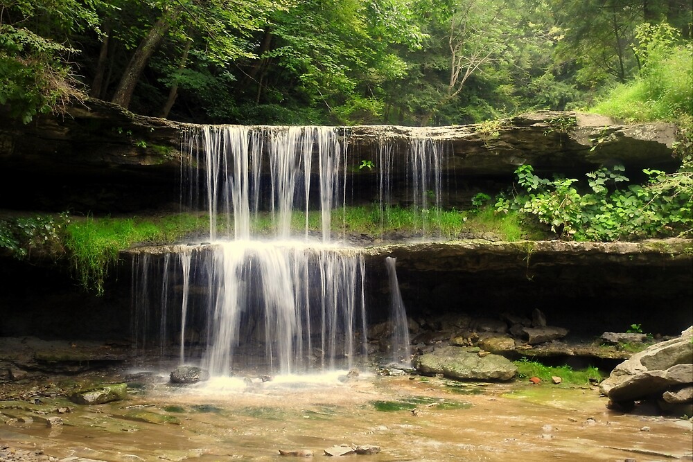 "a fish rollercoaster" by Tgarlick Redbubble