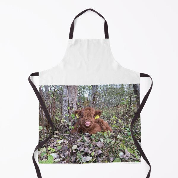 Aperçu de l'œuvre Scottish Highland Cattle Calf 4115 créée et vendue par SaarelaHighland.