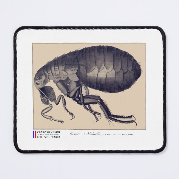 Item preview, The flea seen under a microscope designed and sold by 3-Petits-Lapins.