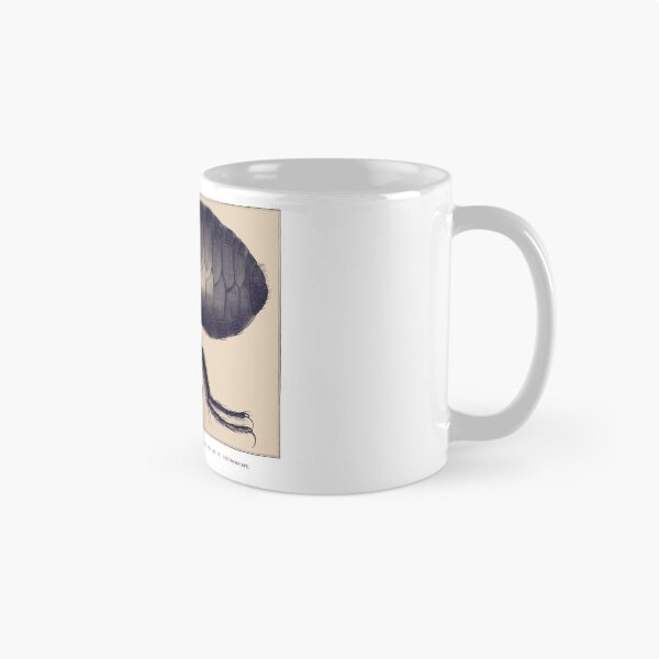 Item preview, The flea seen under a microscope designed and sold by 3-Petits-Lapins.