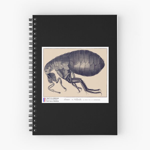Item preview, The flea seen under a microscope designed and sold by 3-Petits-Lapins.
