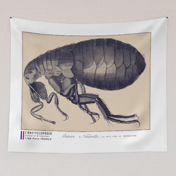 Item preview, The flea seen under a microscope designed and sold by 3-Petits-Lapins.