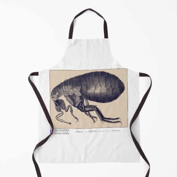 Item preview, The flea seen under a microscope designed and sold by 3-Petits-Lapins.