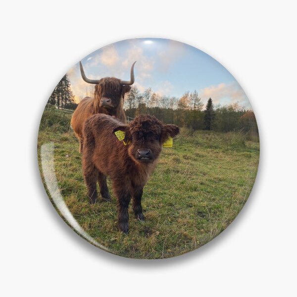 Item preview, Scottish Highland Cattle Calf 4116 designed and sold by SaarelaHighland.