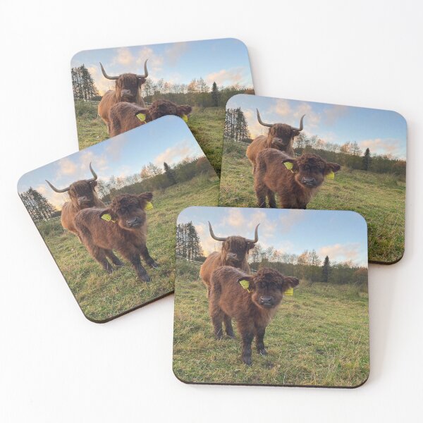 Item preview, Scottish Highland Cattle Calf 4116 designed and sold by SaarelaHighland.