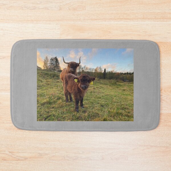 Item preview, Scottish Highland Cattle Calf 4116 designed and sold by SaarelaHighland.