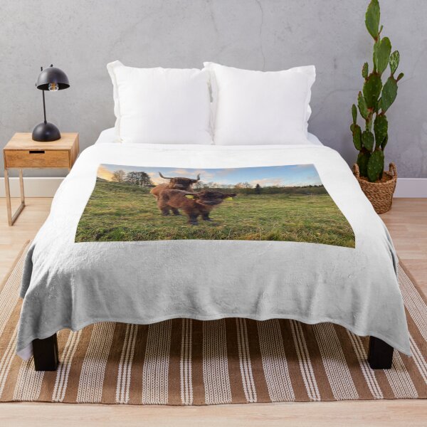 Item preview, Scottish Highland Cattle Calf 4116 designed and sold by SaarelaHighland.