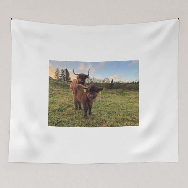 Item preview, Scottish Highland Cattle Calf 4116 designed and sold by SaarelaHighland.