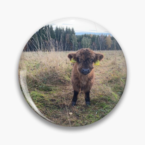 Artikelvorschau, Scottish Highland Cattle Calf 4118 entworfen und verkauft von SaarelaHighland.