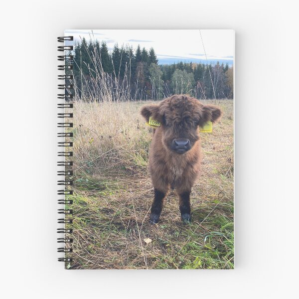 Item preview, Scottish Highland Cattle Calf 4118 designed and sold by SaarelaHighland.