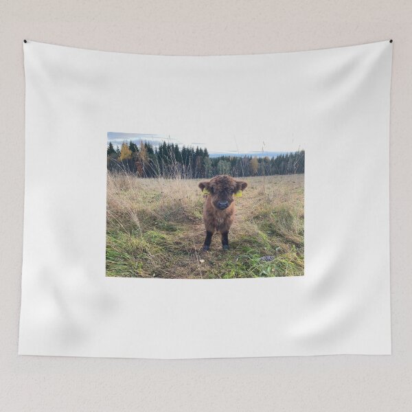 Item preview, Scottish Highland Cattle Calf 4118 designed and sold by SaarelaHighland.