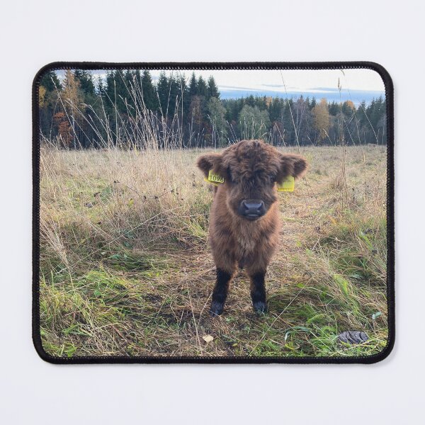 Item preview, Scottish Highland Cattle Calf 4118 designed and sold by SaarelaHighland.