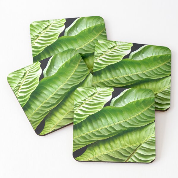 Item preview, Tropical Leaf designed and sold by njiiz.