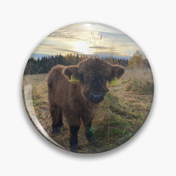 Artikelvorschau, Scottish Highland Cattle Calf 4119 entworfen und verkauft von SaarelaHighland.