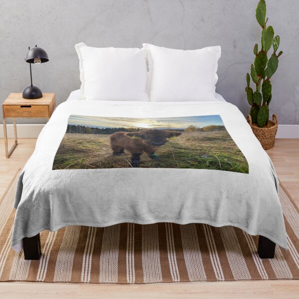 Item preview, Scottish Highland Cattle Calf 4119 designed and sold by SaarelaHighland.