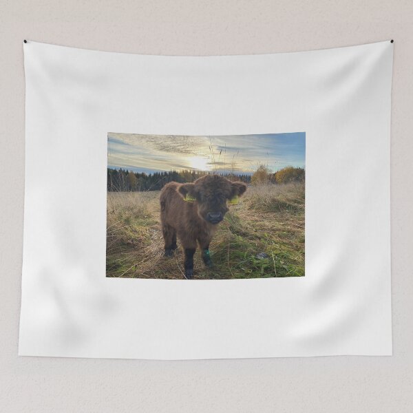 Item preview, Scottish Highland Cattle Calf 4119 designed and sold by SaarelaHighland.