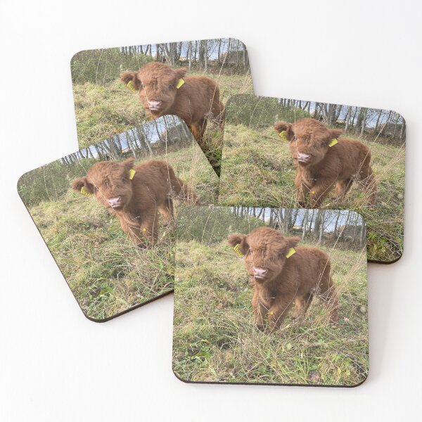 Artikelvorschau, Scottish Highland Cattle Calf 4120 entworfen und verkauft von SaarelaHighland.