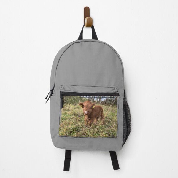 Item preview, Scottish Highland Cattle Calf 4120 designed and sold by SaarelaHighland.