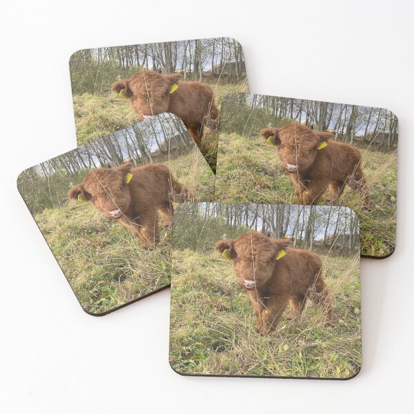 Item preview, Scottish Highland Cattle Calf 4121 designed and sold by SaarelaHighland.