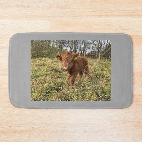 Item preview, Scottish Highland Cattle Calf 4121 designed and sold by SaarelaHighland.