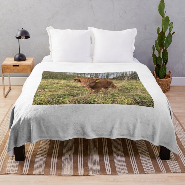 Item preview, Scottish Highland Cattle Calf 4121 designed and sold by SaarelaHighland.