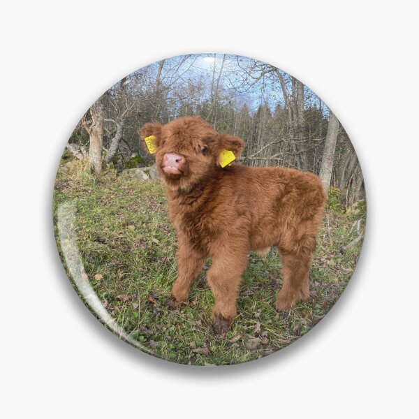 Artikelvorschau, Scottish Highland Cattle Calf 4122 entworfen und verkauft von SaarelaHighland.