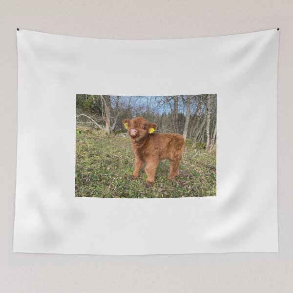 Item preview, Scottish Highland Cattle Calf 4122 designed and sold by SaarelaHighland.