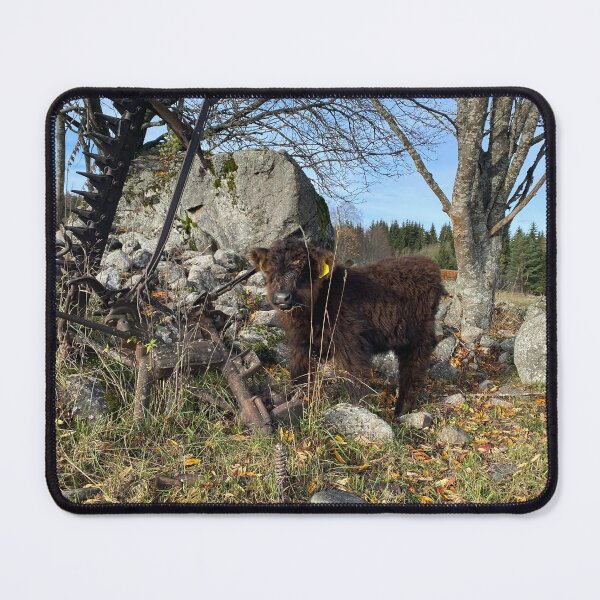 Item preview, Scottish Highland Cattle Calf 4123 designed and sold by SaarelaHighland.