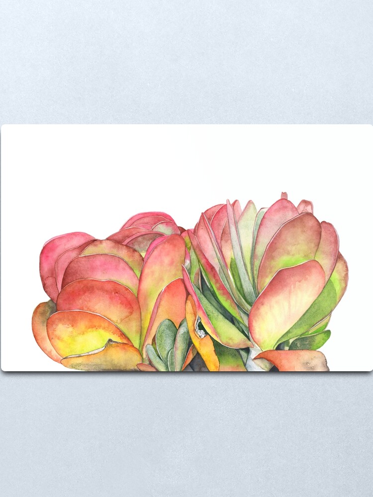 Alternate view of Flap Jacks Metal Print