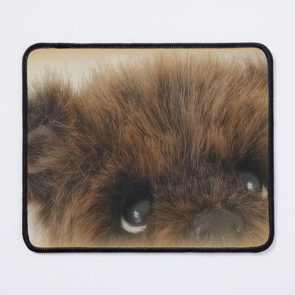 Item preview, 'Chocolate Raisin', close up.  Handmade bear from Teddy Bear Orphans designed and sold by Teddy Bear Orphans .