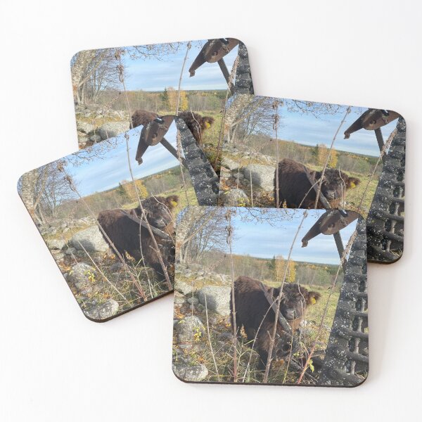 Item preview, Scottish Highland Cattle Calf 4125 designed and sold by SaarelaHighland.