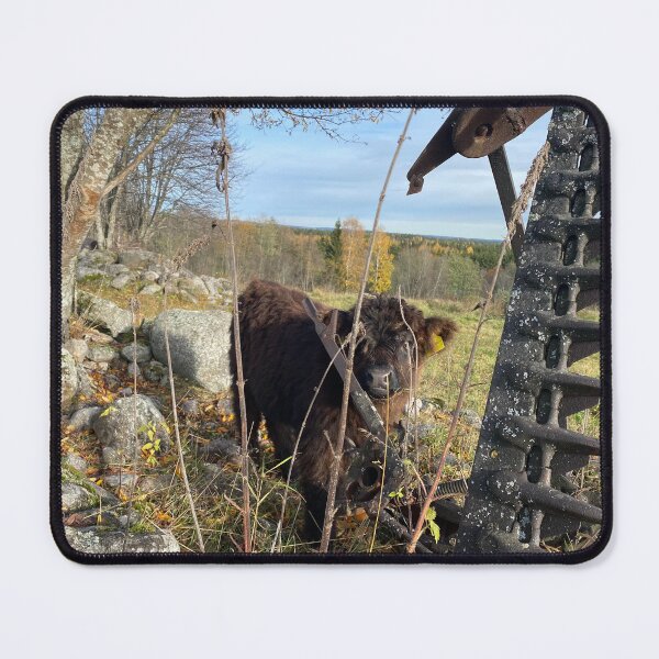 Item preview, Scottish Highland Cattle Calf 4125 designed and sold by SaarelaHighland.