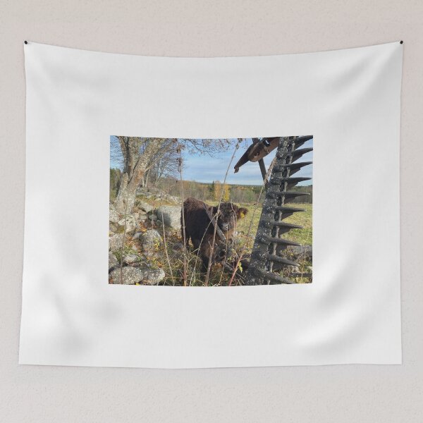 Item preview, Scottish Highland Cattle Calf 4125 designed and sold by SaarelaHighland.