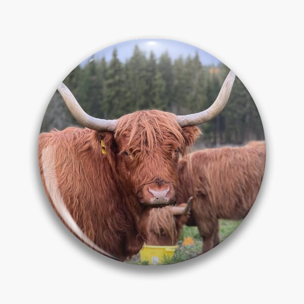 Artikelvorschau, Scottish Highland Cattle Cow 4127 entworfen und verkauft von SaarelaHighland.