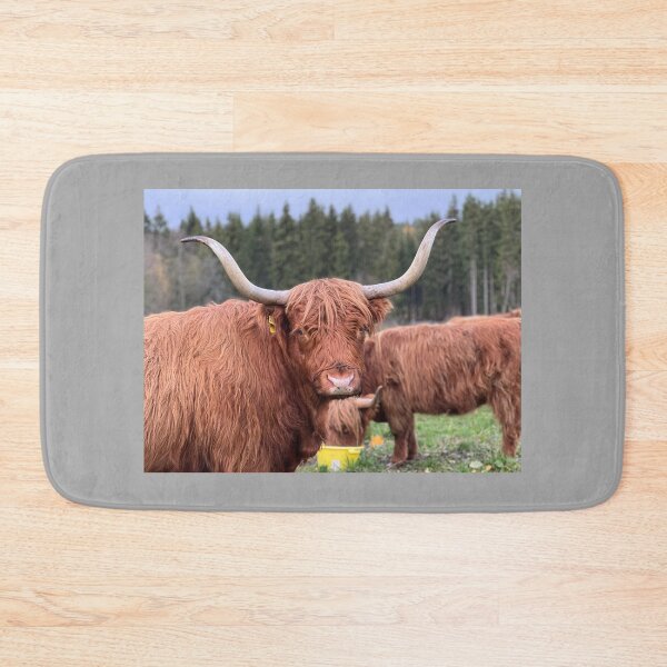 Item preview, Scottish Highland Cattle Cow 4127 designed and sold by SaarelaHighland.