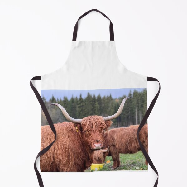 Aperçu de l'œuvre Scottish Highland Cattle Cow 4127 créée et vendue par SaarelaHighland.