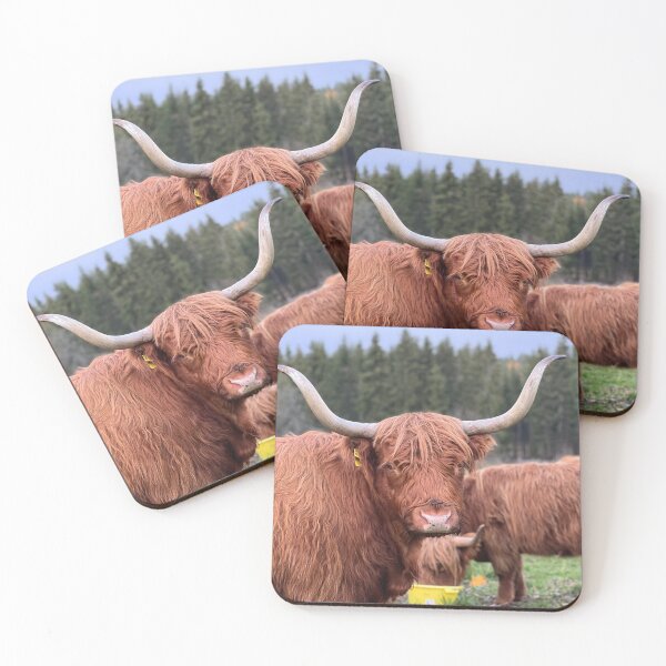 Item preview, Scottish Highland Cattle Cow 4127 designed and sold by SaarelaHighland.