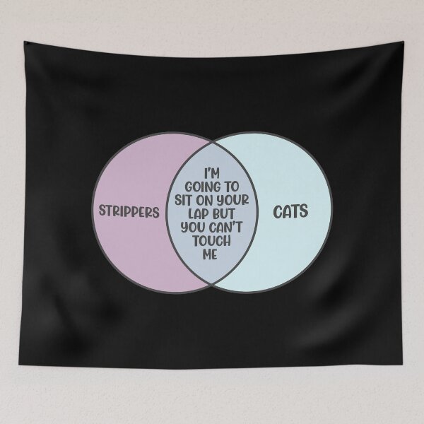 Item preview, Funny Venn Diagram Meme Cats And Strippers Joke Gift designed and sold by JackCurtis1991.