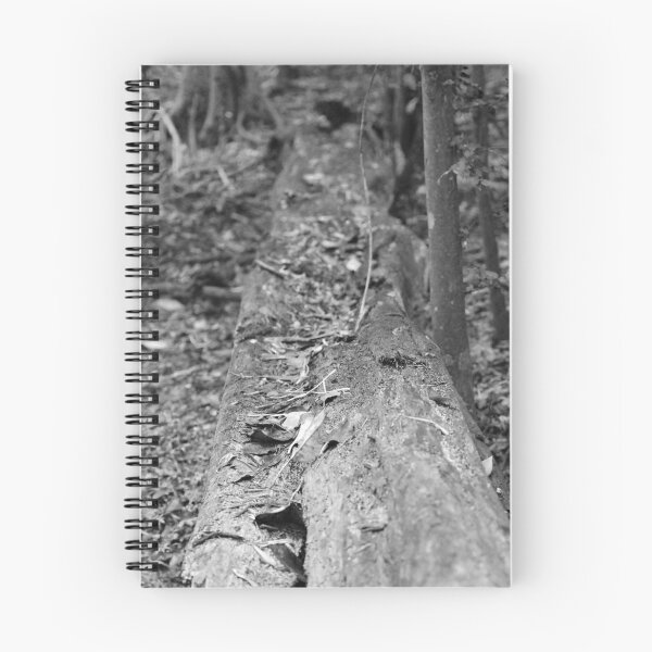 Item preview, looking designed and sold by Jodie Cooper.
