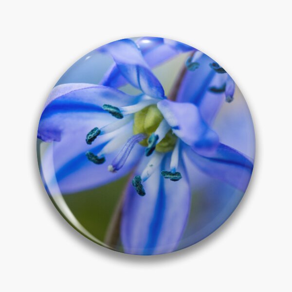 Item preview, Springtime Blues designed and sold by HLGlenn.