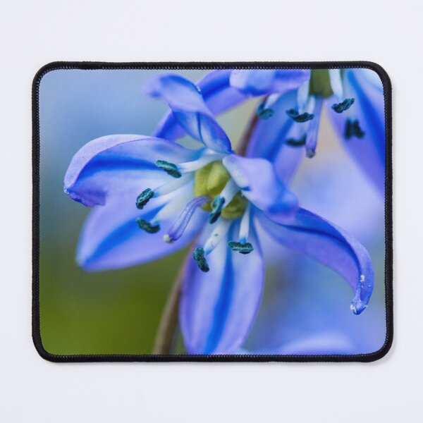 Item preview, Springtime Blues designed and sold by HLGlenn.
