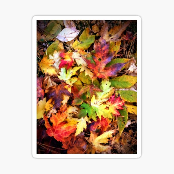 Item preview, Fallen leaves designed and sold by Ivy-Bindig.