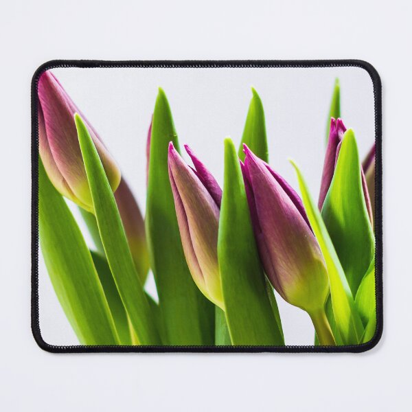 Item preview, Tulips designed and sold by Gary Turner.