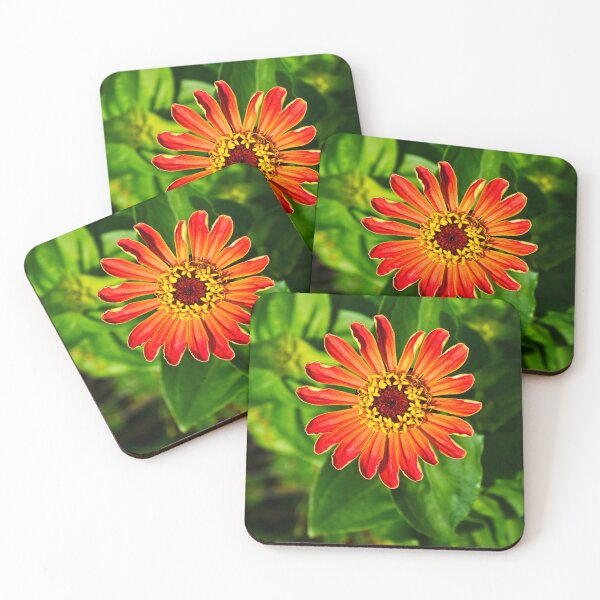 Item preview, orange summer flower | nature photography designed and sold by Mii-pics.